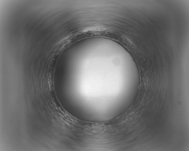 X0000052921062200508050757