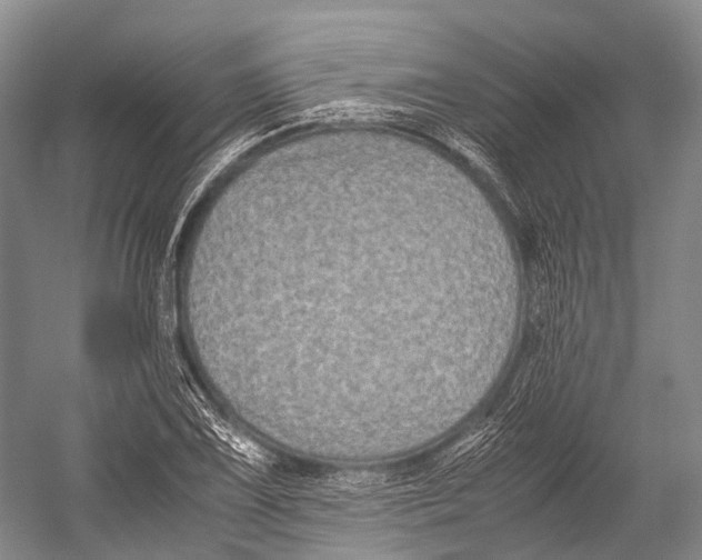 X0000052921075200508050757