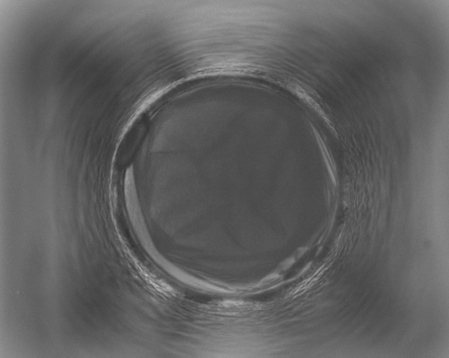X0000052921077200508050757