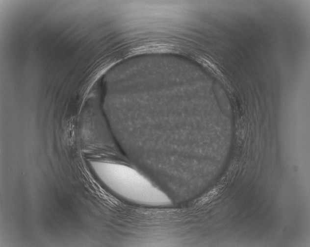 X0000052921081200508050757