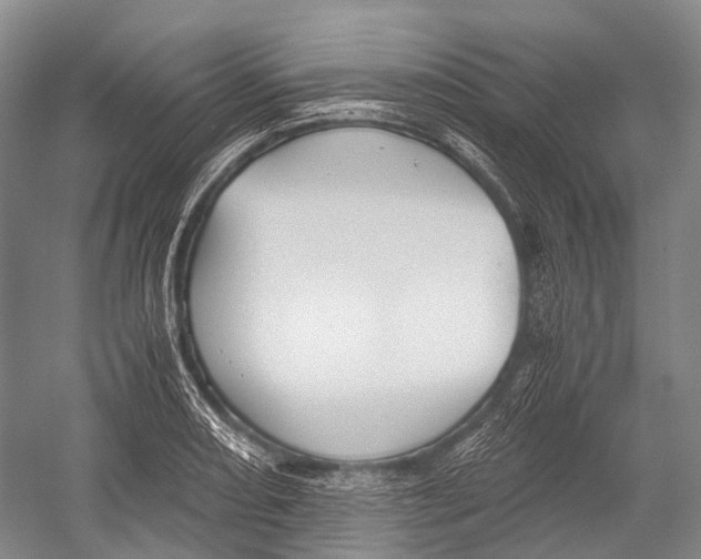 X0000052921082200508050757