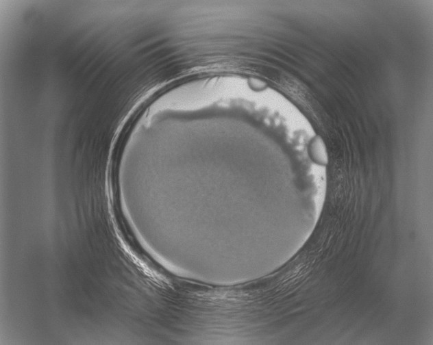 X0000052921084200508050757