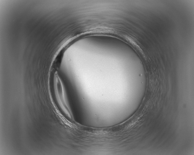 X0000052921085200508050757