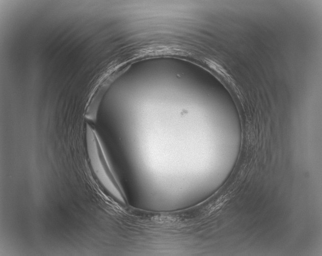 X0000052921089200508050757