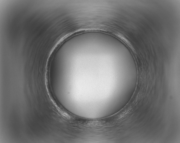 X0000052921093200508050757