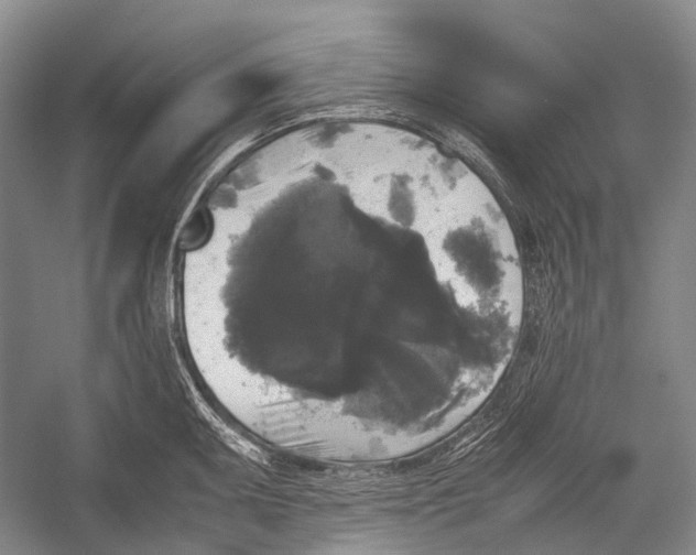 X0000052921095200508050757