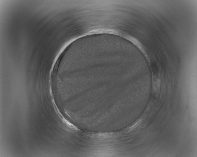 X0000052921102200508050757