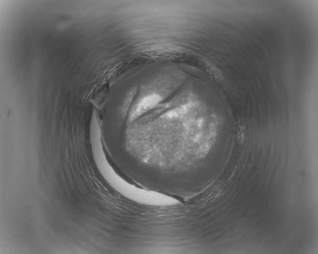 X0000052921108200508050756