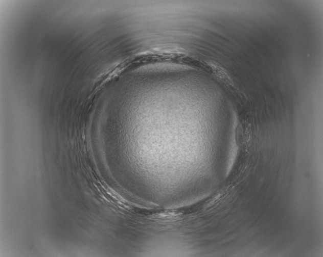 X0000052921110200508050756