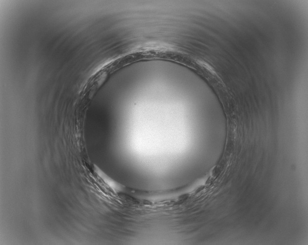 X0000052921112200508050756