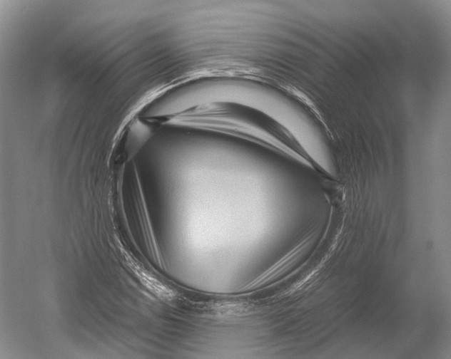 X0000052921114200508050756