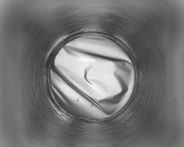 X0000052921115200508050756