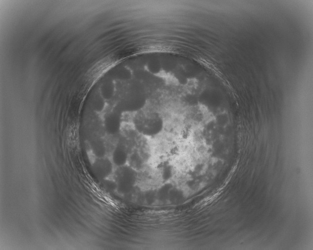 X0000052921121200508050756