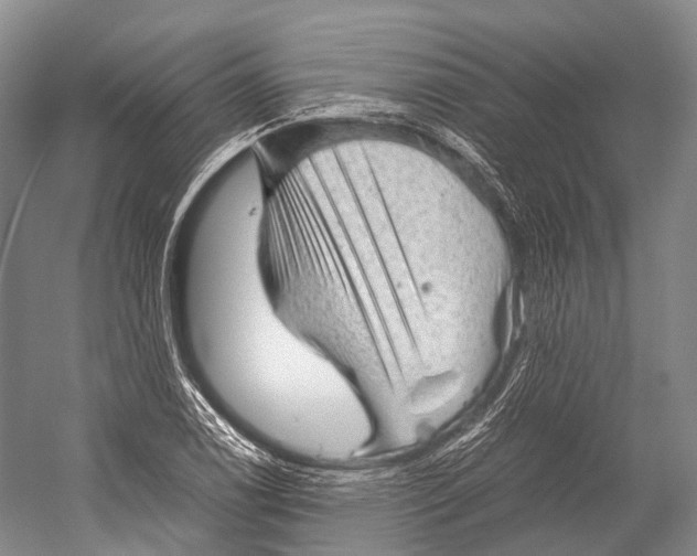X0000052921122200508050756