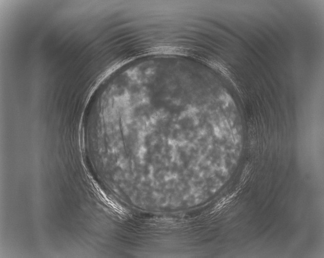 X0000052921125200508050756