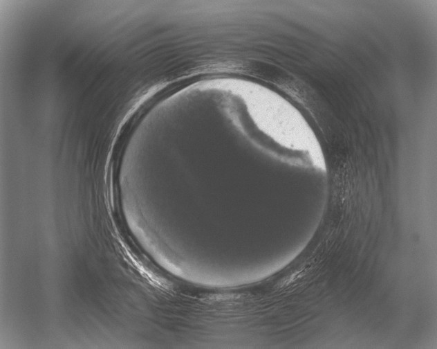 X0000052921127200508050756