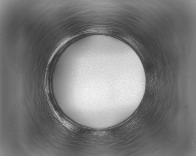 X0000052921131200508050756