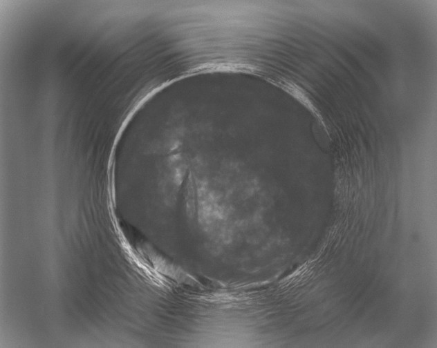 X0000052921132200508050756