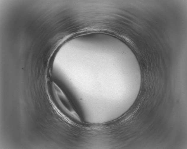 X0000052921134200508050756