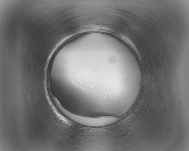 X0000052921136200508050756