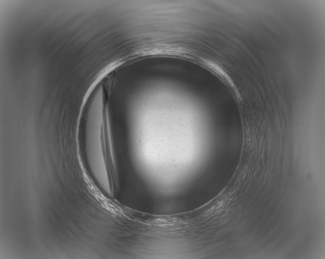 X0000052921138200508050756