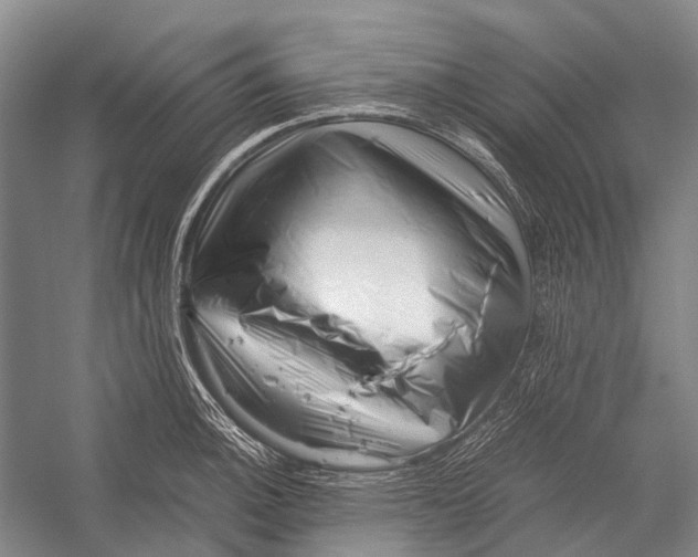 X0000052921140200508050756