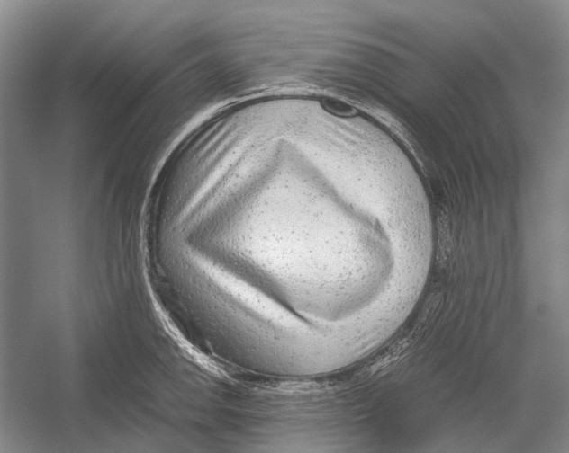 X0000052921142200508050756