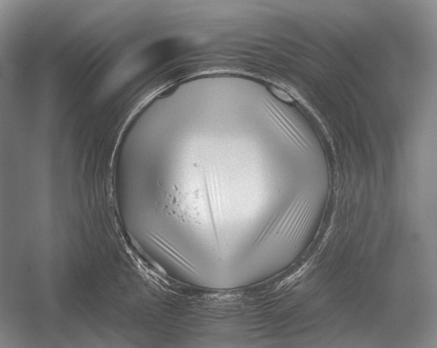 X0000052921145200508050756