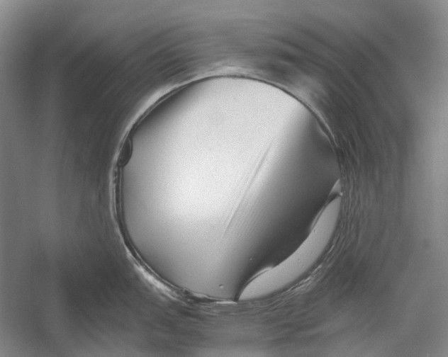 X0000052921151200508050757