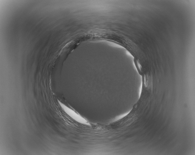 X0000052921155200508050756