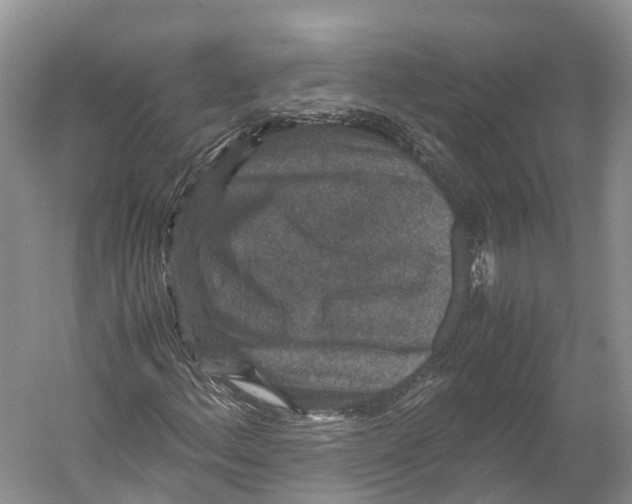 X0000052921156200508050756