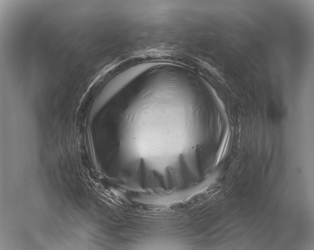 X0000052921160200508050756