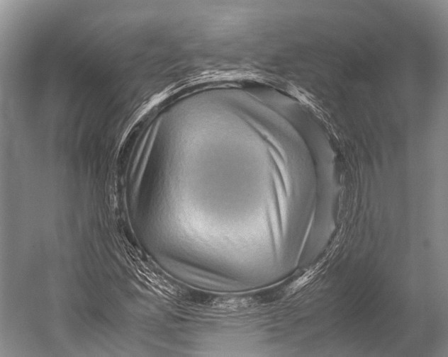 X0000052921165200508050756