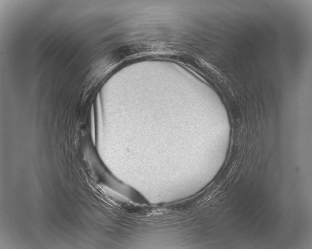X0000052921169200508050755