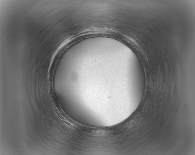 X0000052921172200508050755