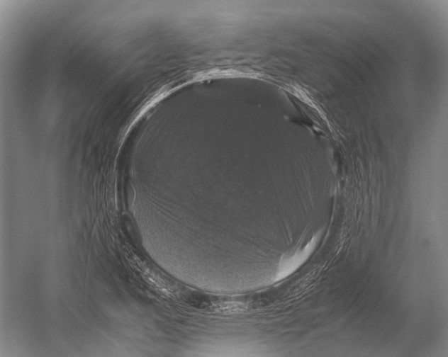 X0000052921173200508050755