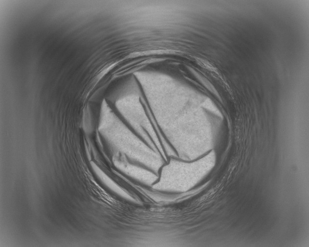 X0000052921177200508050755