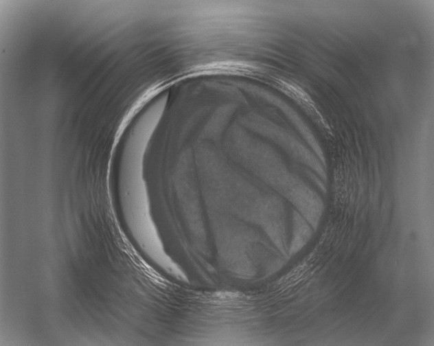 X0000052921180200508050755