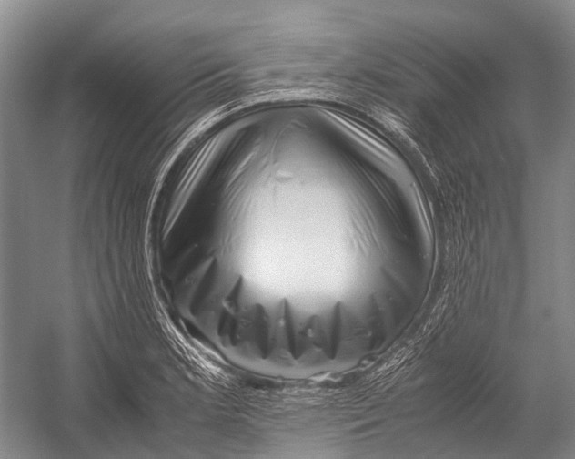 X0000052921181200508050755