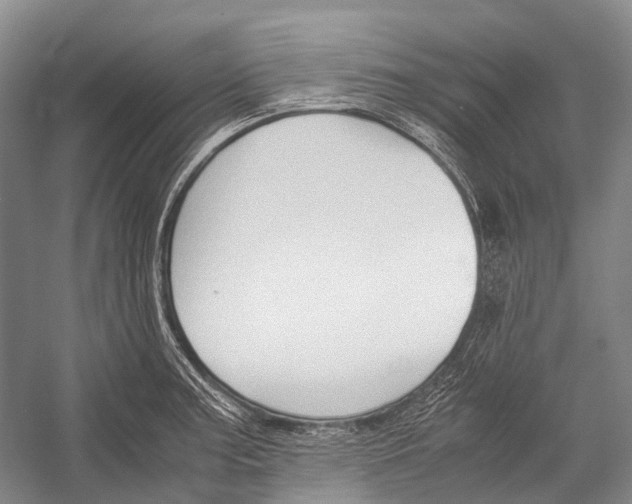 X0000052921187200508050755