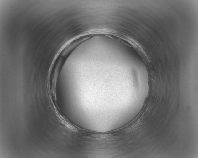 X0000052921192200508050755