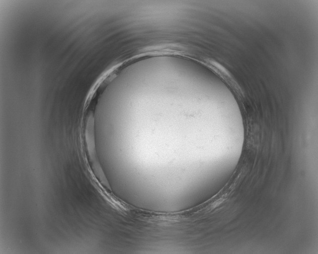 X0000052921196200508050755