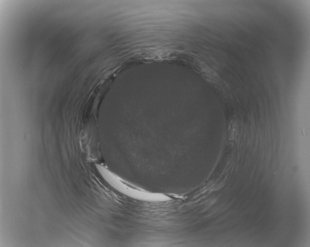 X0000052921202200508050754
