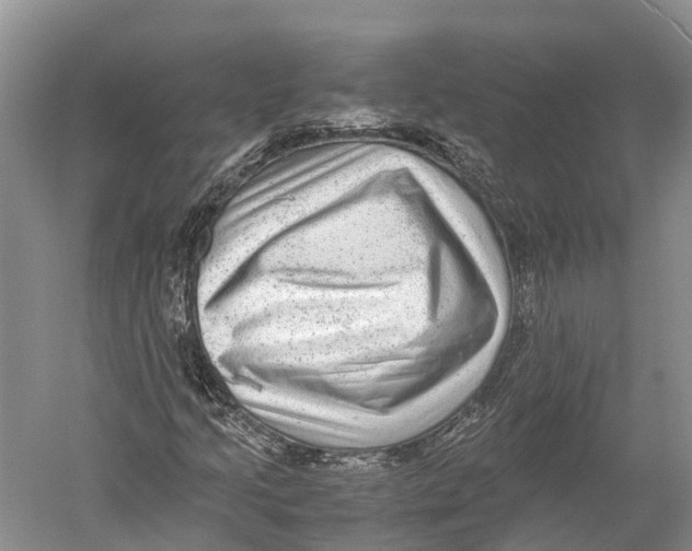 X0000052921205200508050754