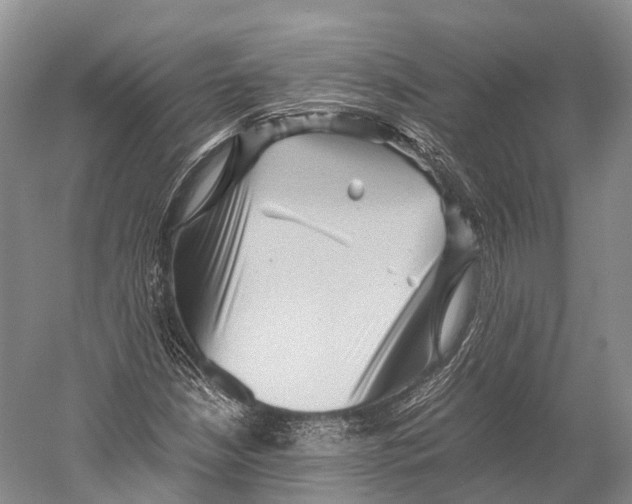 X0000052921210200508050754