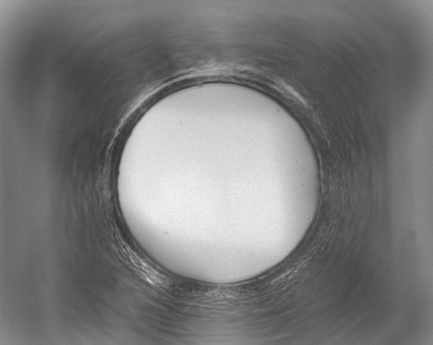 X0000052921216200508050754