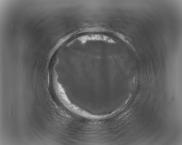 X0000052921221200508050754