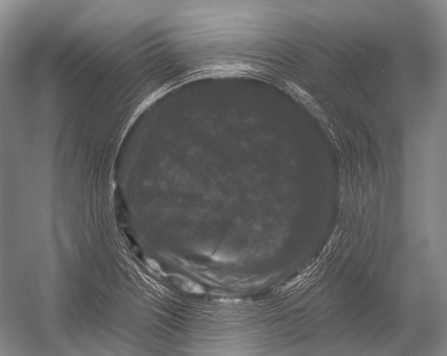 X0000052921226200508050755
