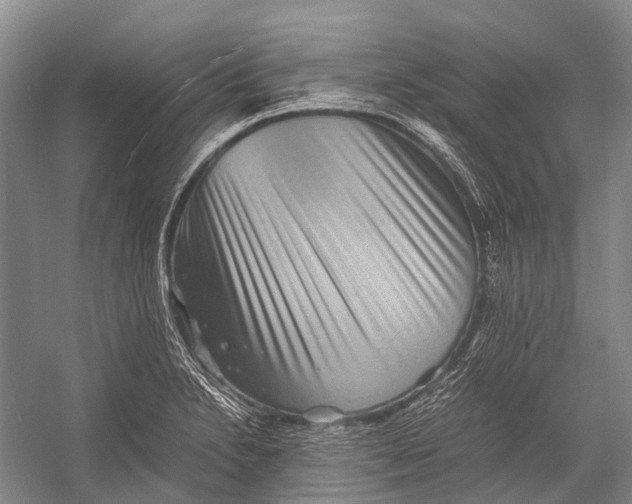 X0000052921230200508050755