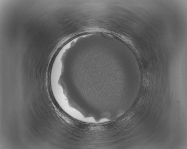 X0000052921231200508050755